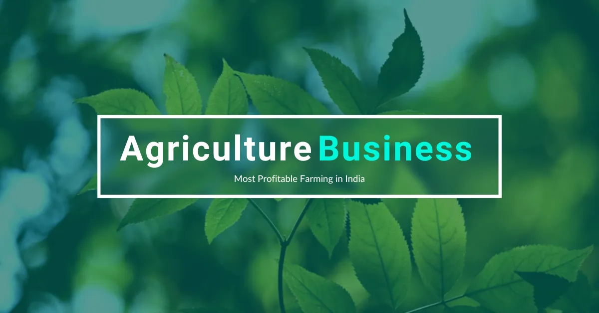 Agriculture Business Ideas – Most Profitable Farming in India